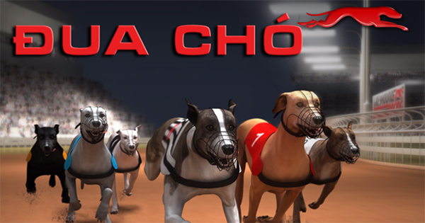 Bí Kíp Chơi Game Nhanh Đua Chó Tại WW88 Dễ Thắng Với Thưởng Cực Hấp Dẫn
